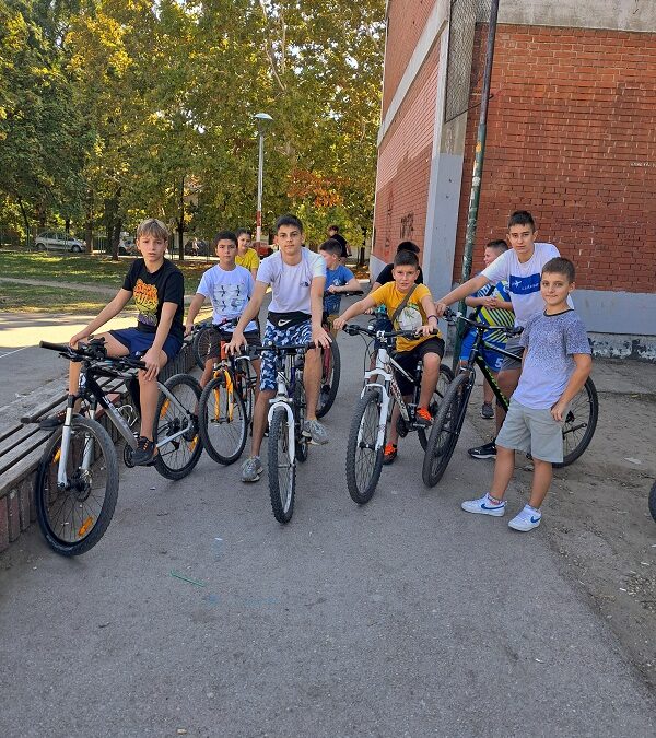 Дан бициклизма